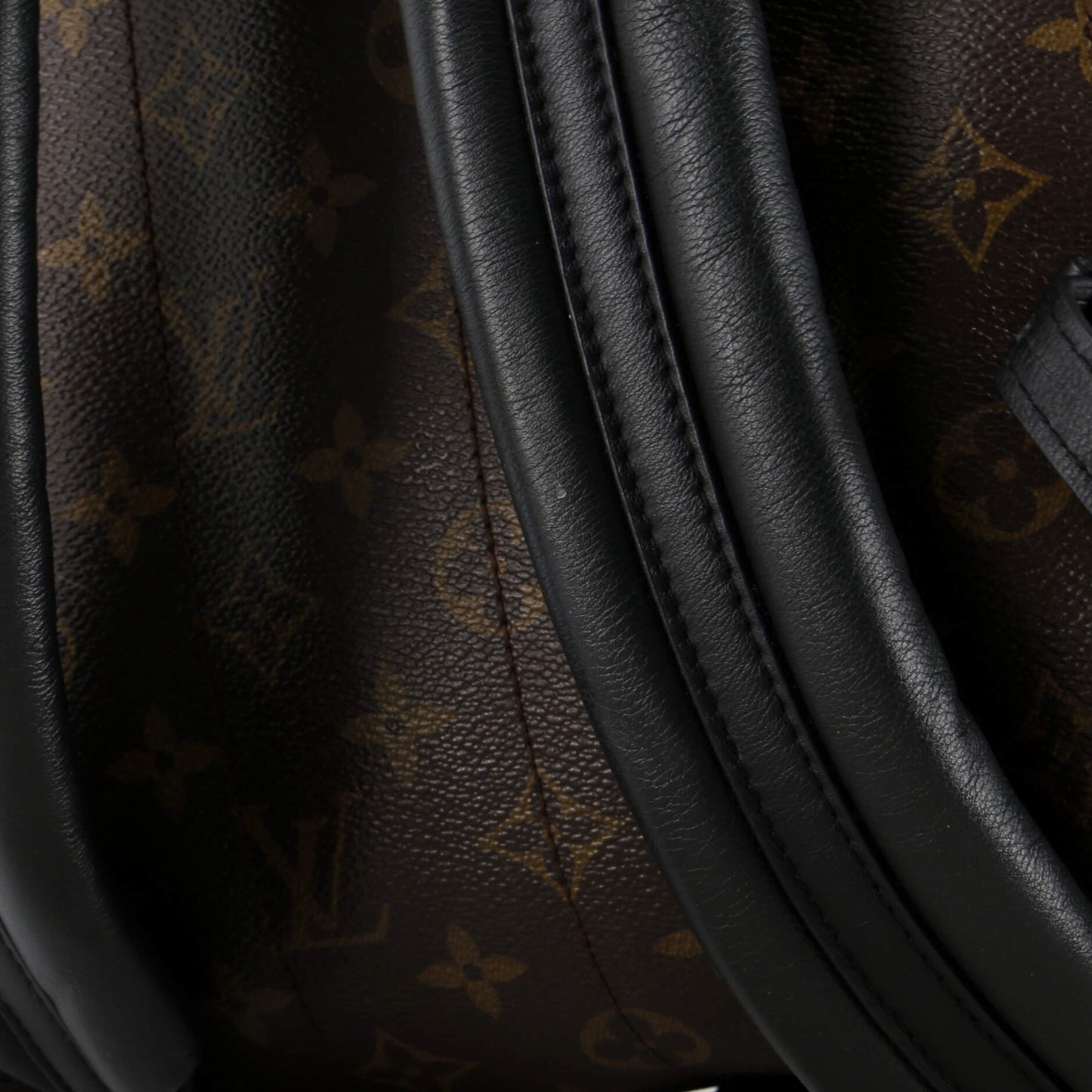 Louis Vuitton Palm Springs Backpack Monogram Canvas Mm