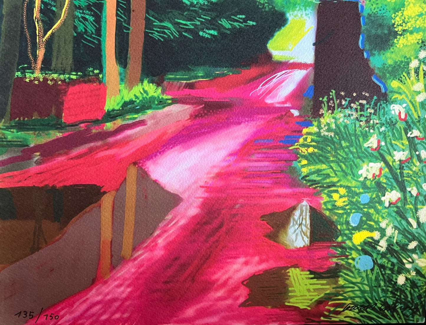 David Hockney Lithograph Coa Signed Op Numbered A Hand Limited &
