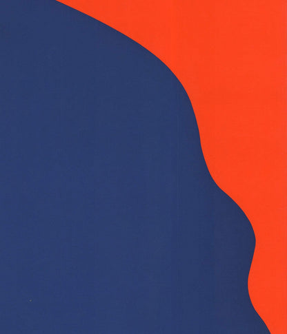 Jack Youngerman Amnesty International Signed " Serigraph Pop Art