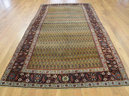 5'1"X9'10" Antique Farsian Bejar Exc Cond Wide Runner Oriental Rug