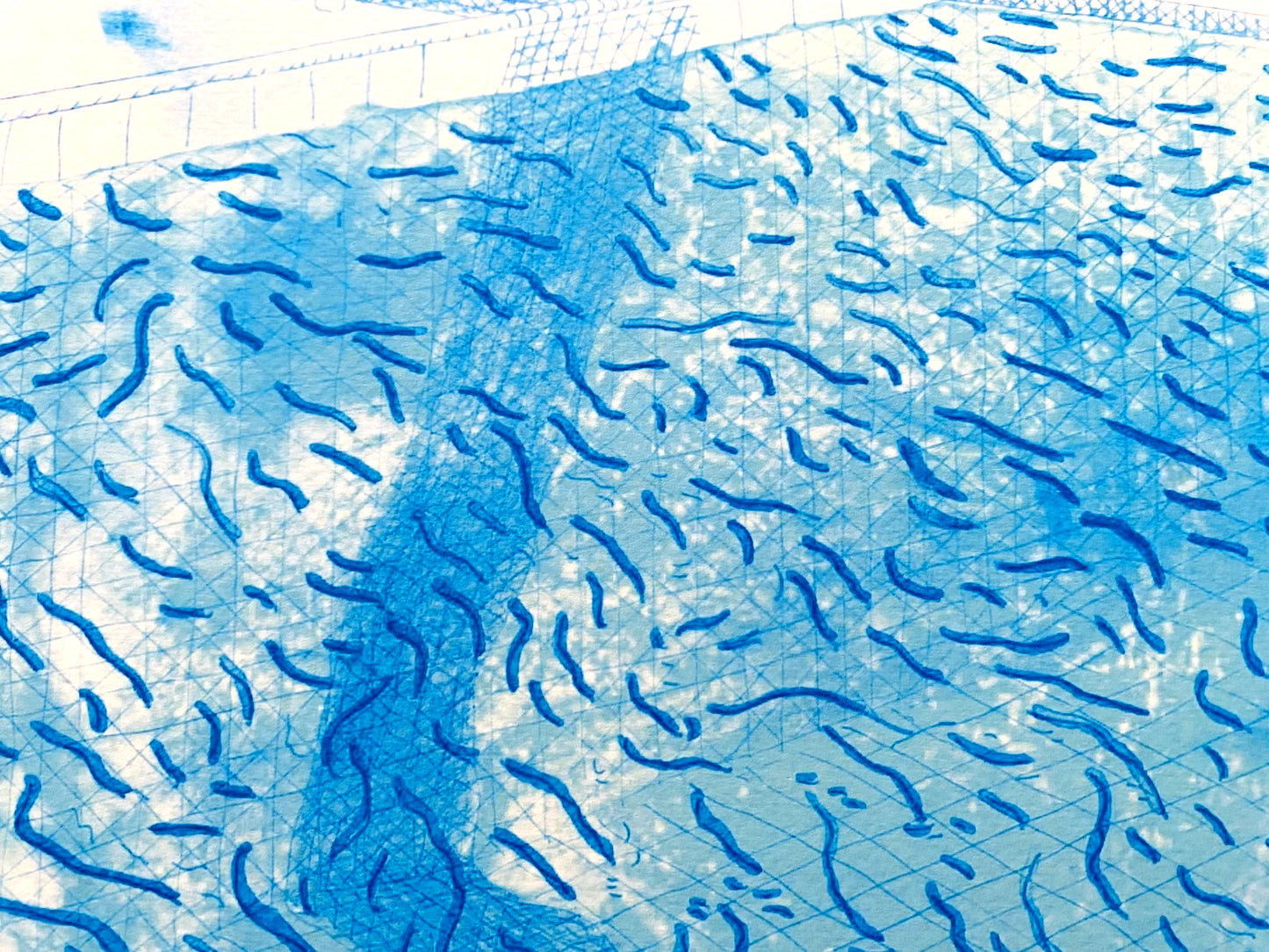 David Hockney Lithograph Coa Signed Numbered Limited 180