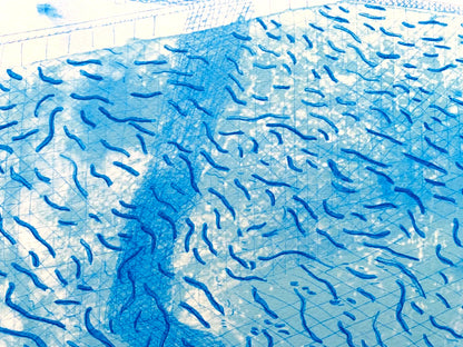 David Hockney Lithograph Coa Signed Numbered Limited 180