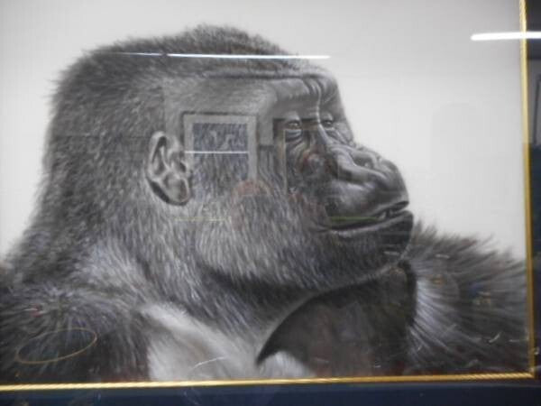 Charles Lynn Bragg - Gorilla Unique Original Acrylic Painting Signed Framed