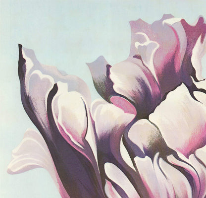 Lowell Nesbitt Parrot Tulip On White Signed " Offset Lithograph 198