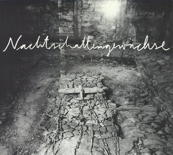 Anselm Kiefer Yvon Lambert Gallery 