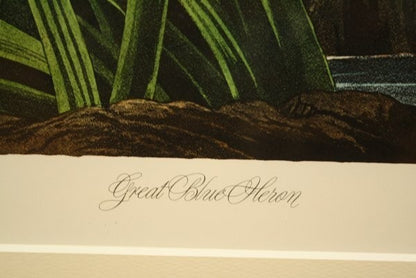 John James Audubon Great Blue Heron Birds Of America Bernard Loates Lithograph
