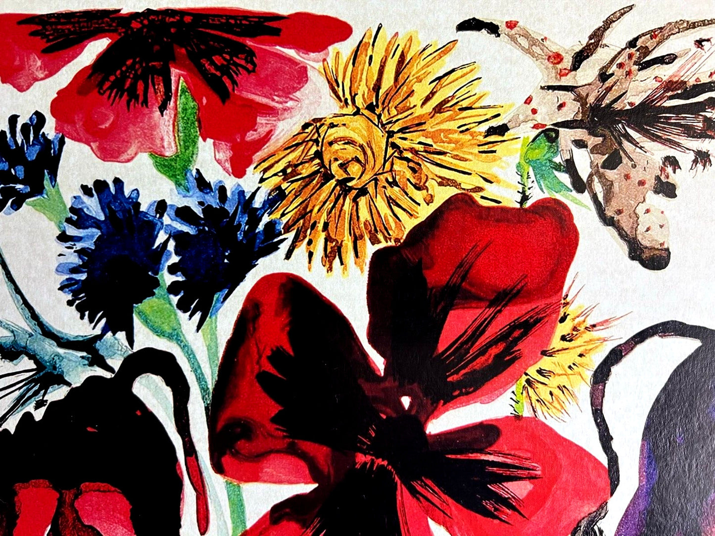 Salvador Dal Lithograph From An Drawing Coa Signed Op Rare