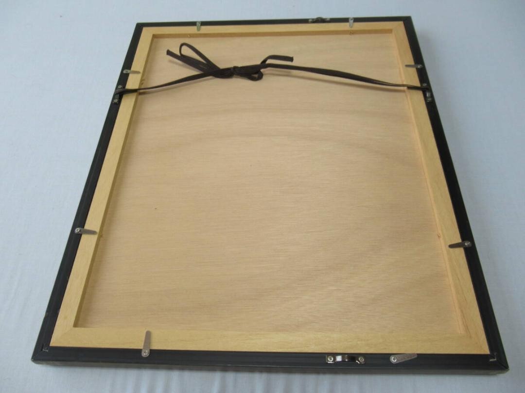 Henry Eeles Dresser "Cyanecula Svecica" 1871 Hand-Colored Bird Lithograph Framed