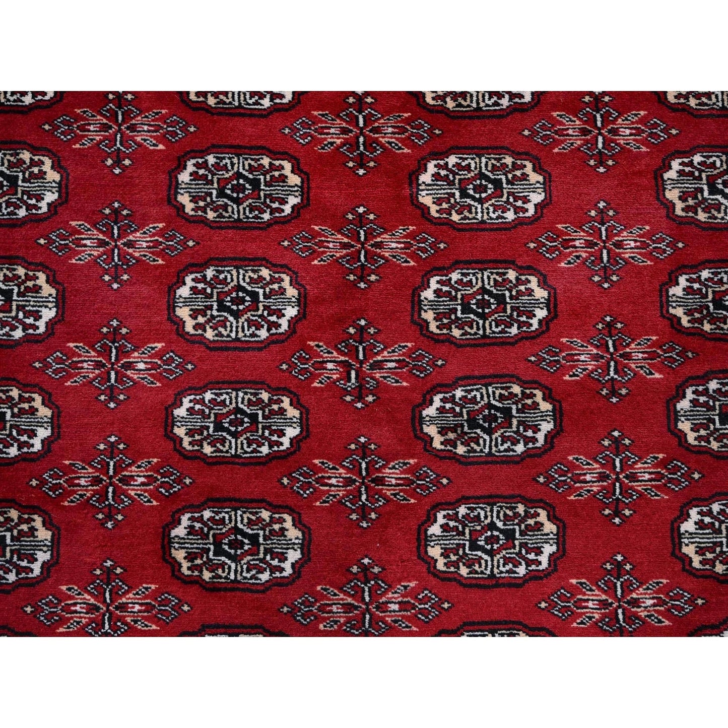 9'X11'9" Ruby Red Princess Bokara Hand Knotted Soft Wool Rug