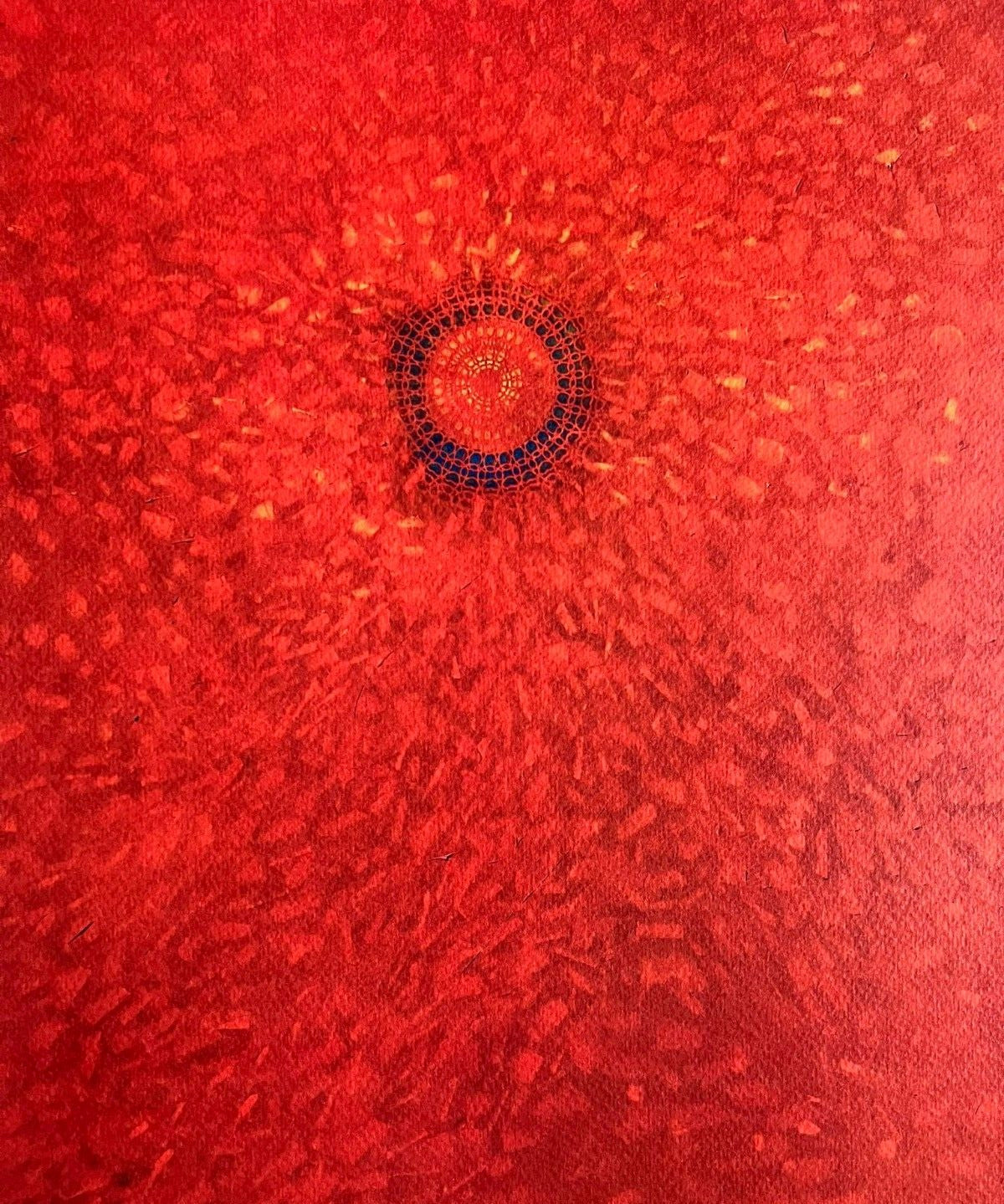Max Ernst Lithograph Coa Signed Op Numbered By Hand (Dal)