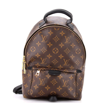 Louis Vuitton Palm Springs Backpack Monogram Canvas Pm