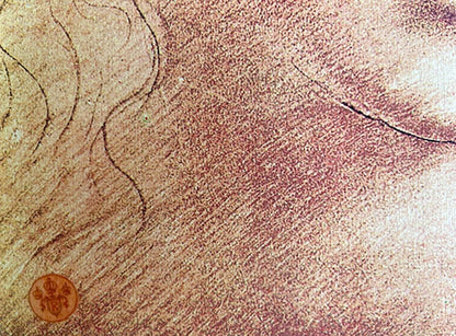 Leonardo Da Vinci Lithograph From An Signed Numbered Coa