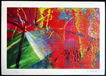 Gerhard Richter Lithograph Coa Signed (Hand Numbered) 180 Exe