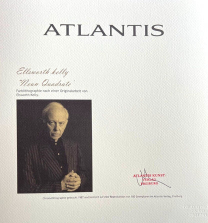 Ellsworth Kelly Lithograph Signed Coa 180 Ex Numbered Pencil Stamp