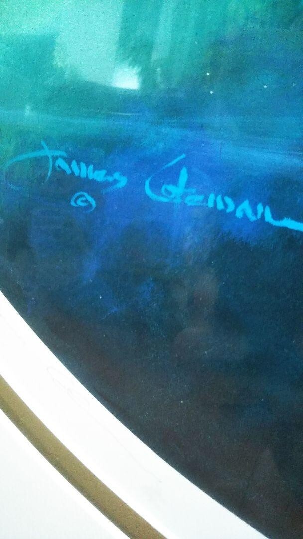 James Coleman - Reflections Ed250 Original Lithograph Print Signed Framed