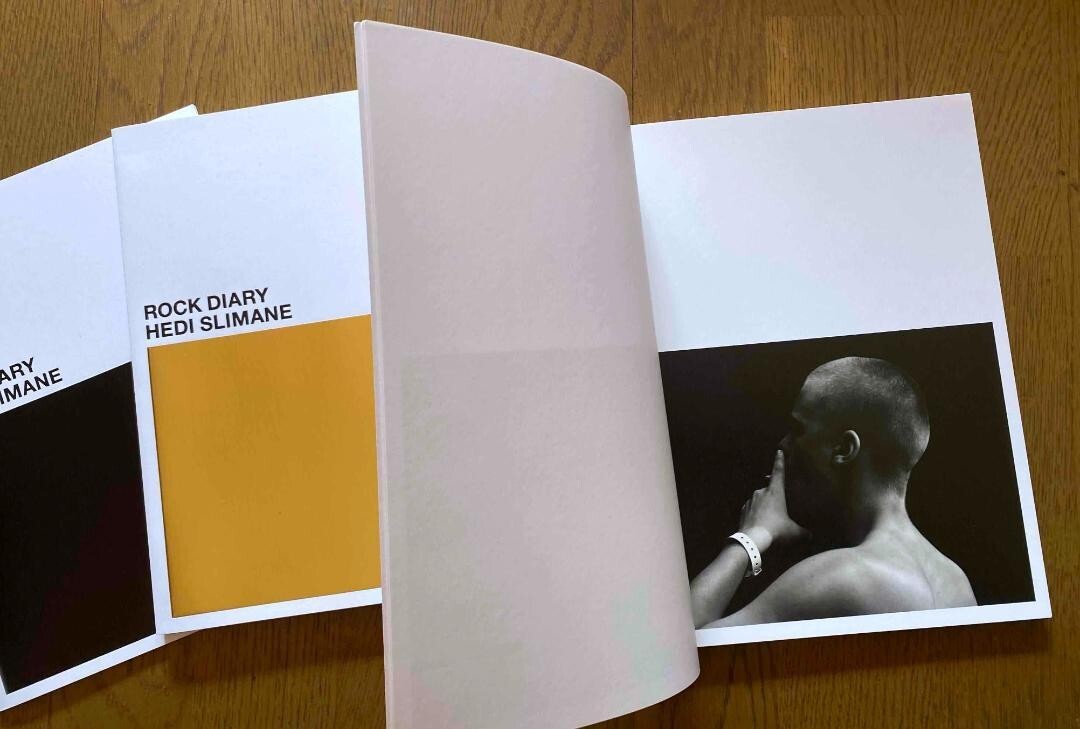 Saint Laurent Celine Box Rock Slimane Hedi Diary 2008 Photography