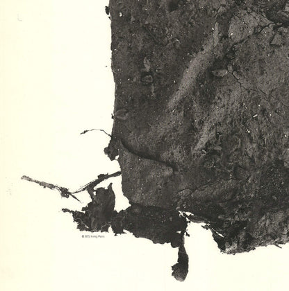 Irving Penn Street Material " Offset Lithograph