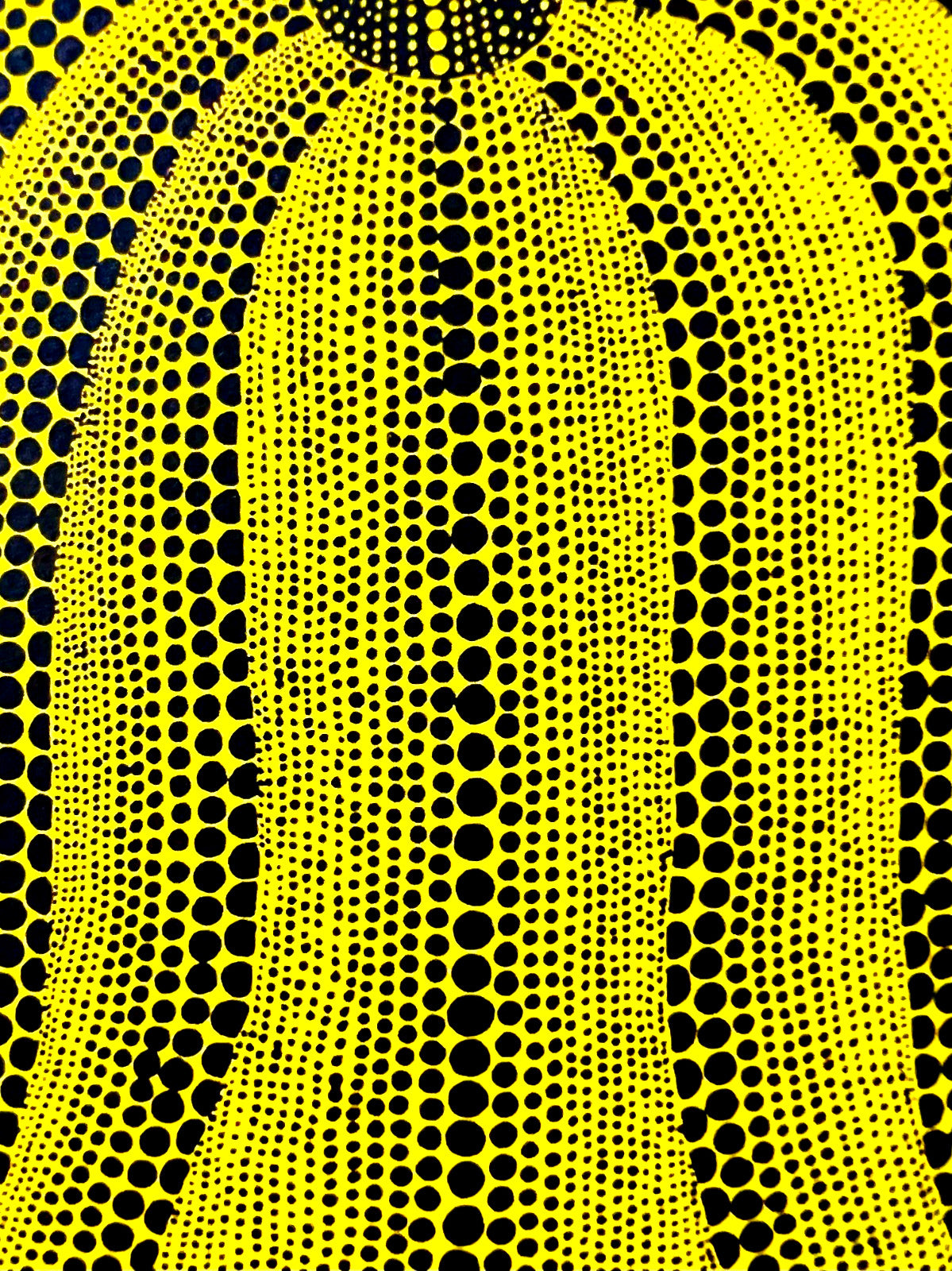 Yayoi Kusama Lithograph Mori Museum Coa Original Numbered Limited To 200