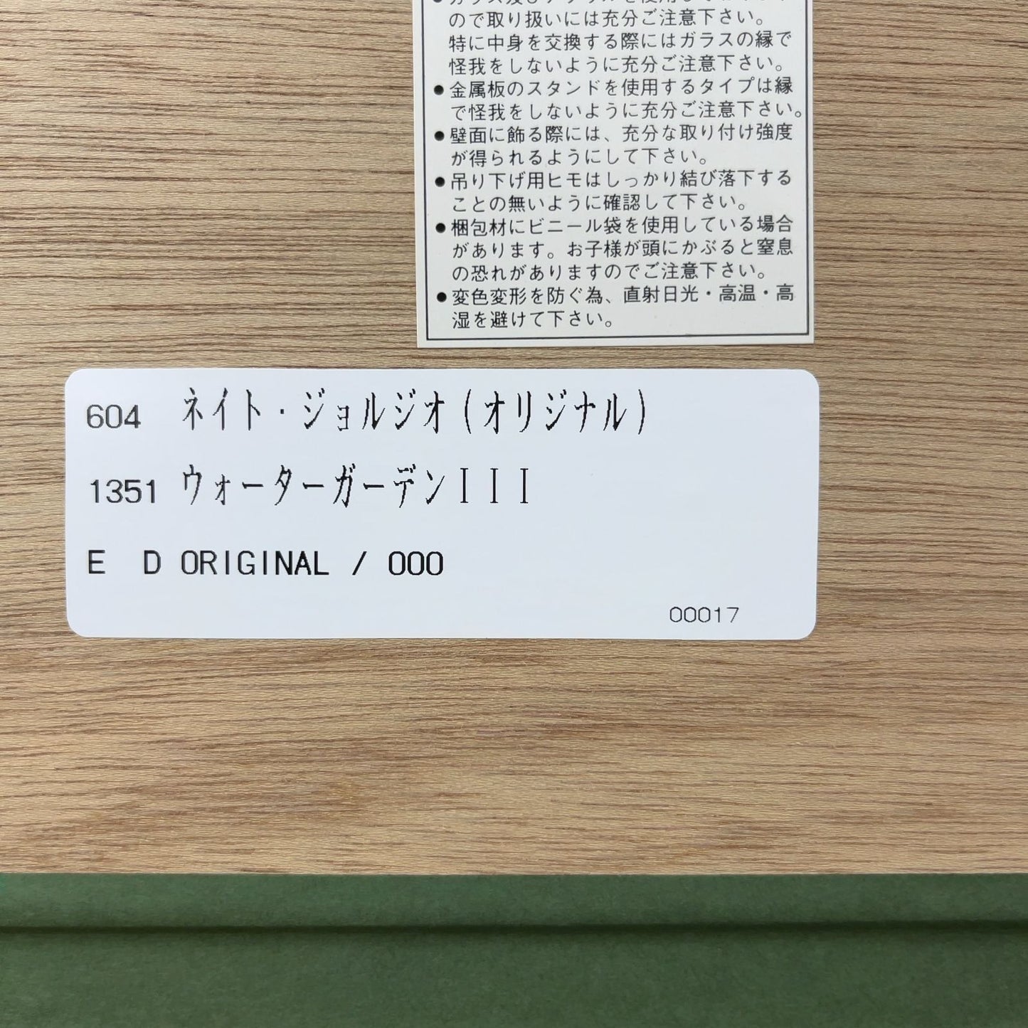 Nate Giorgio (Us) Original Acrylic Painting Signed & Inscribed Water Garden Iii