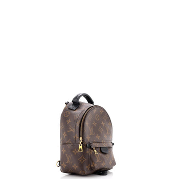Louis Vuitton Palm Springs Backpack Monogram Canvas Mini