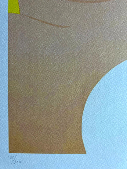 Tom Wesselmann Lithograph Coa Signed Op Numbered