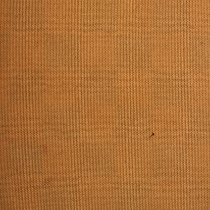 Louis Vuitton Speedy Handbag Damier 30