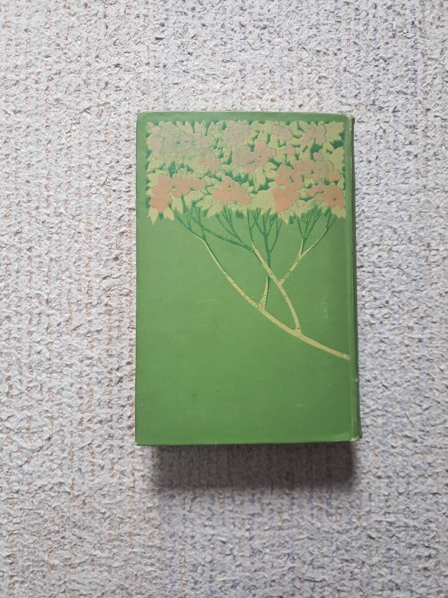 1901 Lafcadio Hearn Japan An Attempt At Interpretation 1St Hardcover English