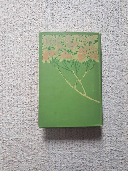 1901 Lafcadio Hearn Japan An Attempt At Interpretation 1St Hardcover English