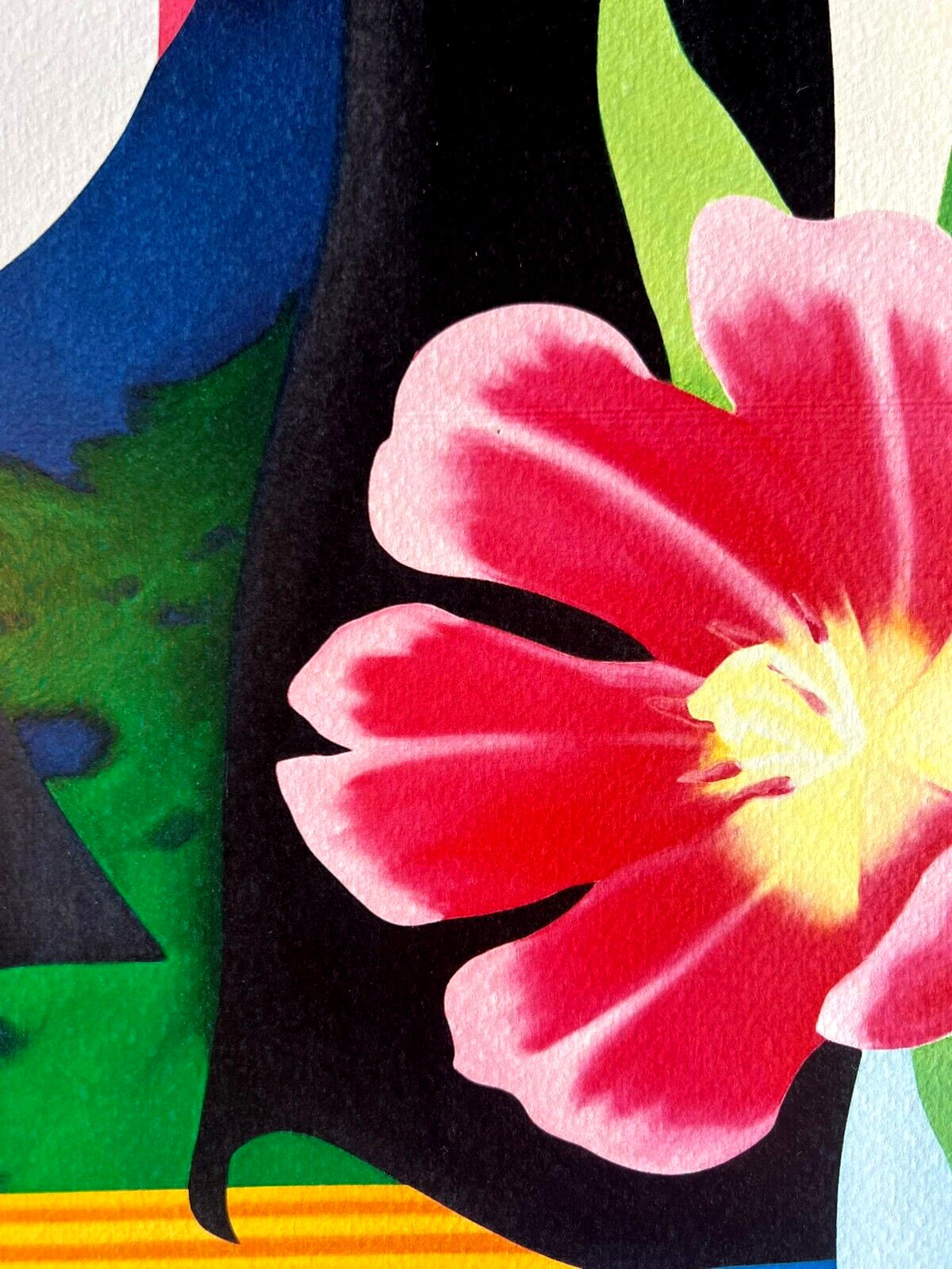 Tom Wesselmann Lithograph Handmade Coa Numbered Signed Op