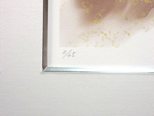 Senko Takahashi "Swordswoman" Signed Original