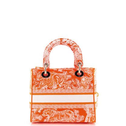Christian Dior Toile De Jouy Lady D-Lite Bag Embroidered Canvas