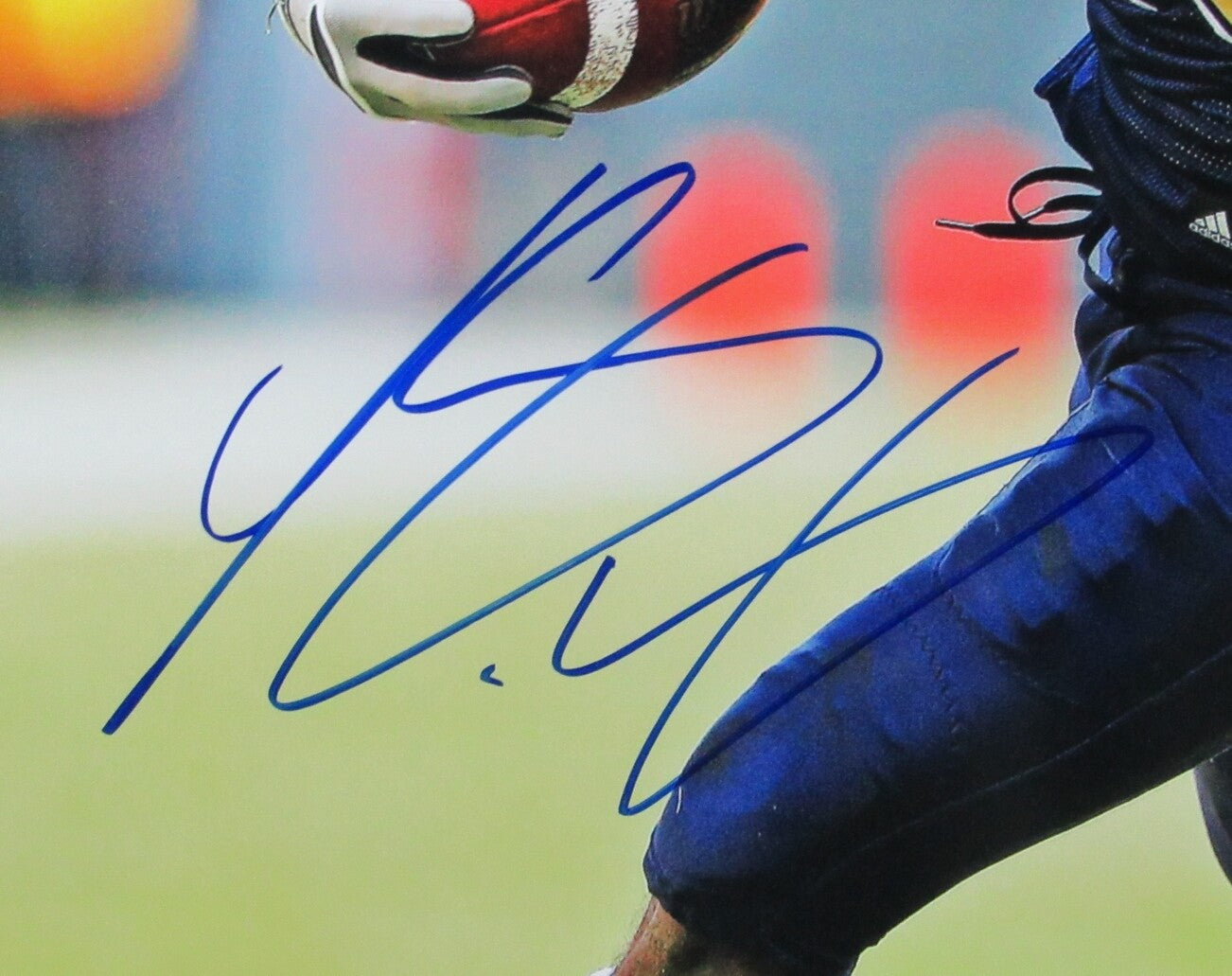 Lesean Mccoy Pittsburgh Panthers Signed/Framed 16X20 Photo 132264