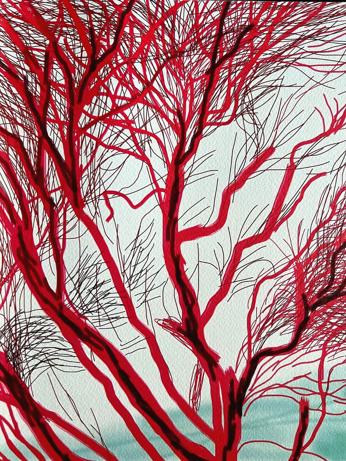 David Hockney Coa Lithograph Signed Op Hand Numbered Limited &^