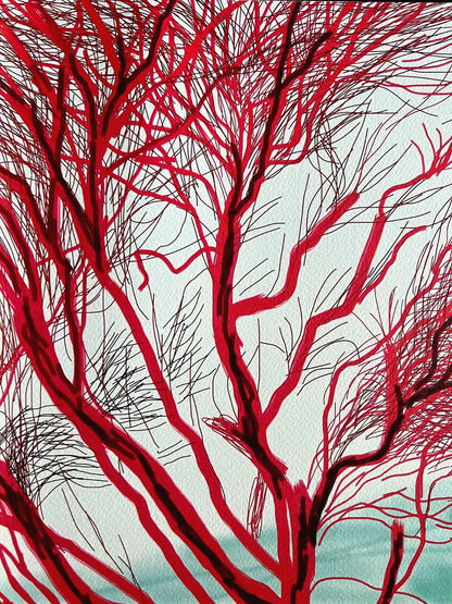 David Hockney Coa Lithograph Signed Op Hand Numbered Limited &^
