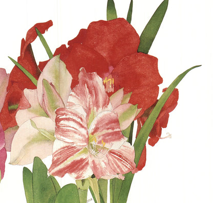 Gary Bukovnik California Still Life No. 14 " Offset Lithograph Cont