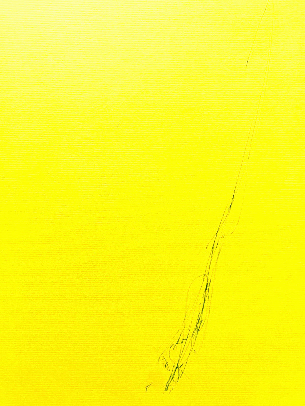 Dan Flavin Lithograph Coa Signed Op Numbered Pencil Stamp