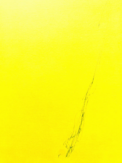 Dan Flavin Lithograph Coa Signed Op Numbered Pencil Stamp