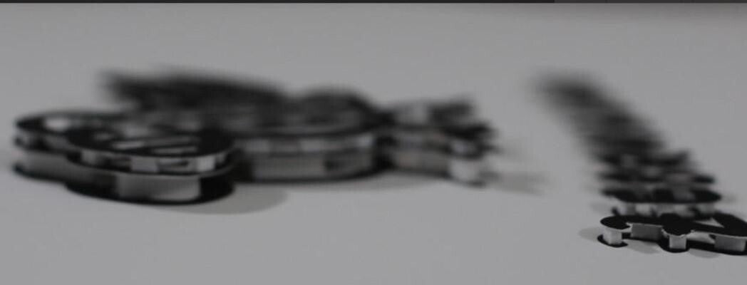 Zebrahuhn By Helge Schneider Signed 3D Art Print 2016 Bird