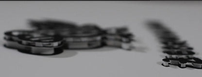 Zebrahuhn By Helge Schneider Signed 3D Art Print 2016 Bird