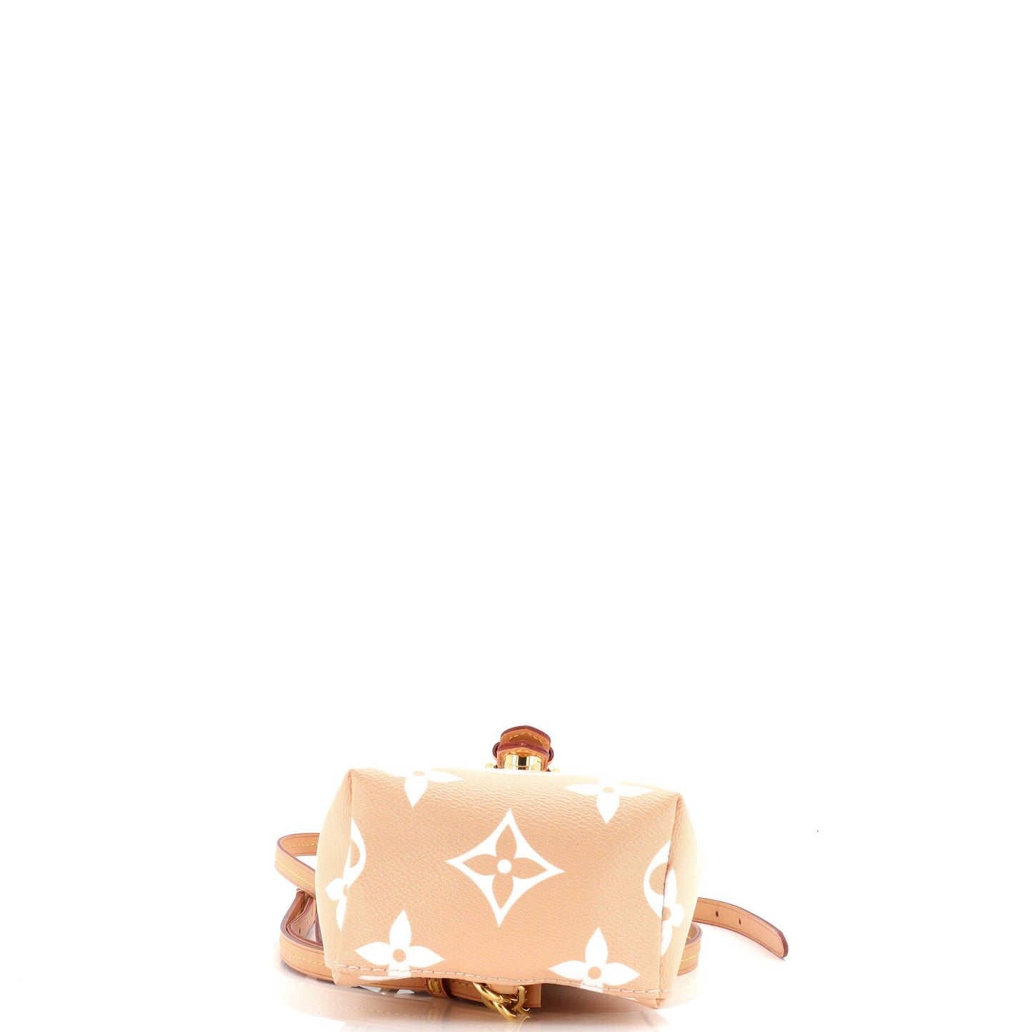 Louis Vuitton Tiny Backpack By The Pool Monogram Giant