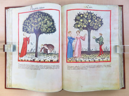 Tacuinum Sanitatis In Medicina. Codex Vindobonensis Series Nova 2644 Facsimile