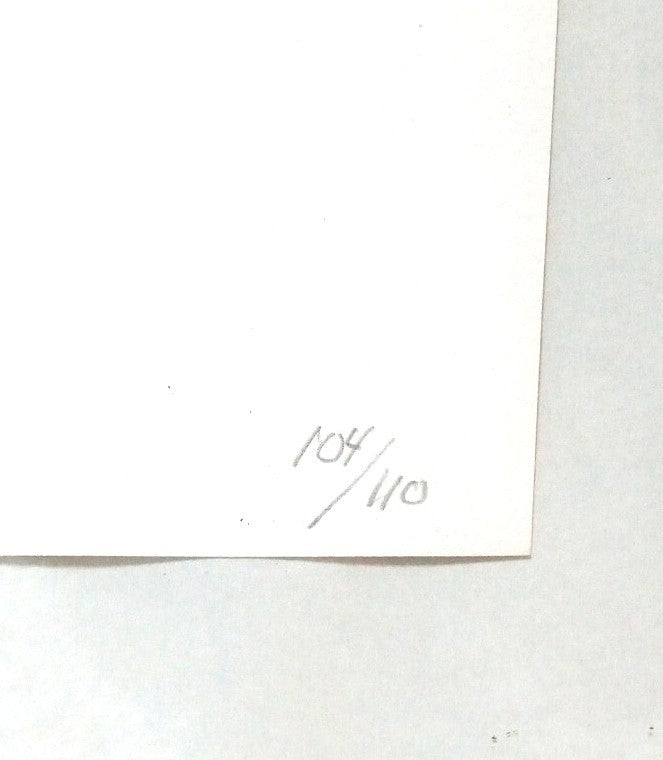 Framed Bjrn Wiinblad Sally Lithograph 1994 Signed 104/ 110 Denmark Art COA