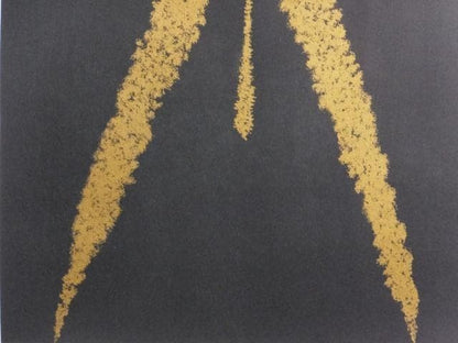 Jnos Kass From Duke Bluebeards Castle 1981 Signed Lithograph Hungary Ltd 100