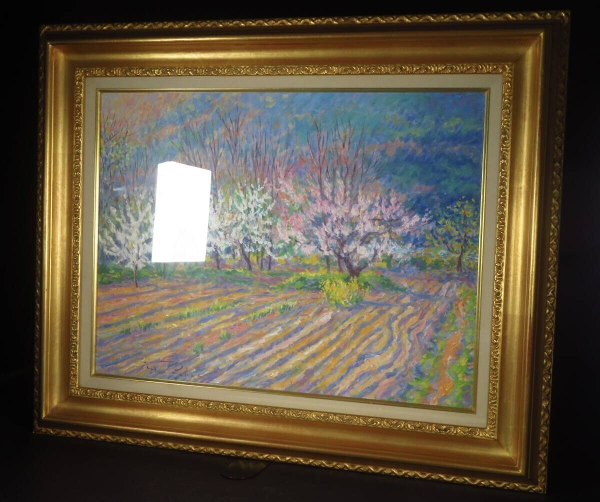 Jan Parker (British) Original Painting Oil On