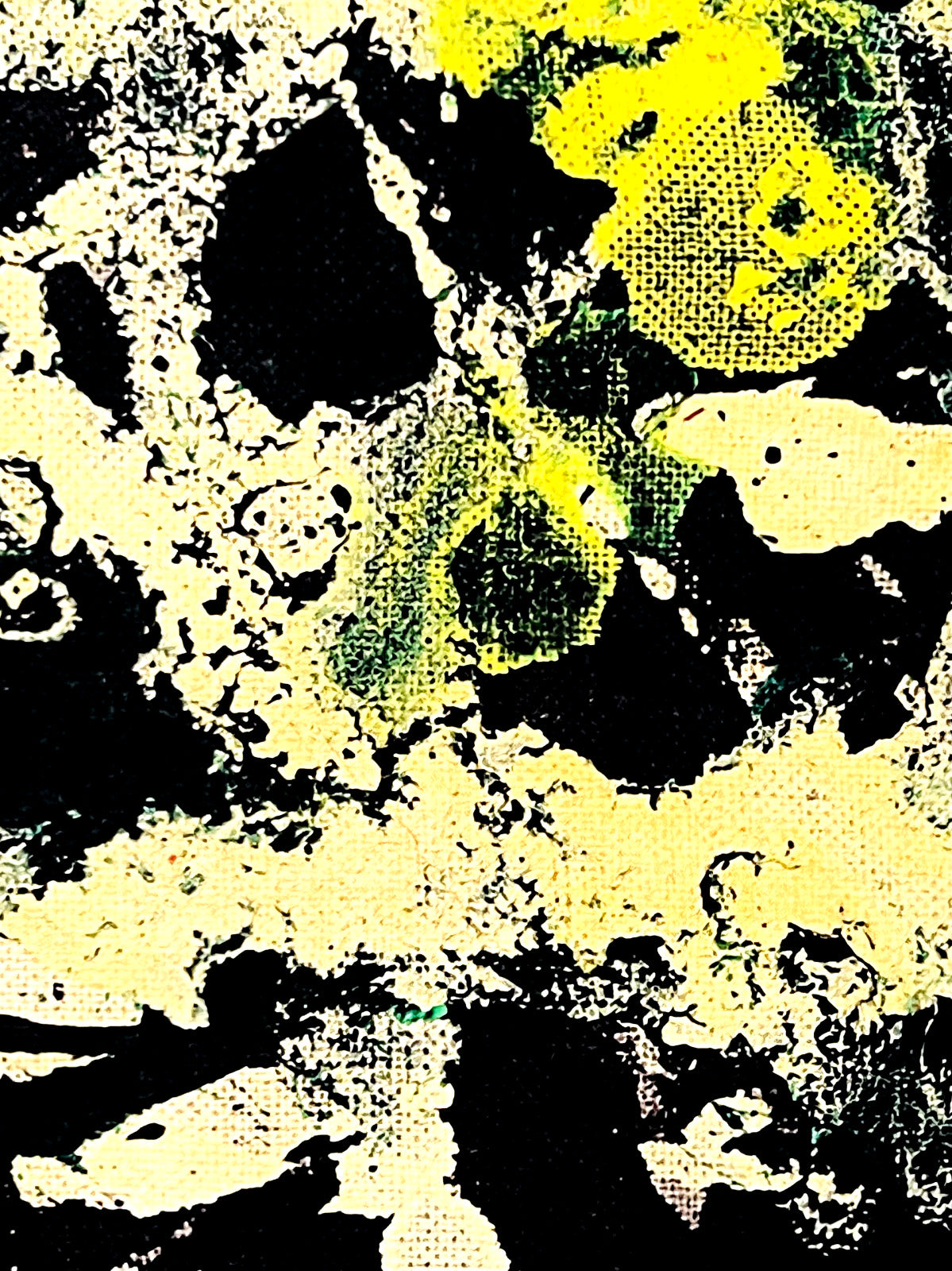 Jackson Pollock Action Painting Coa Signed Numbered By Hand. Eduardo Chillida