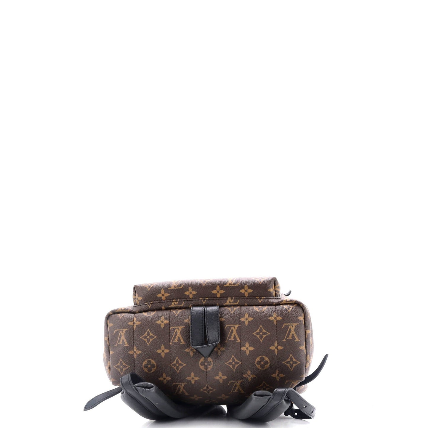 Louis Vuitton Palm Springs Backpack Monogram Canvas Mm