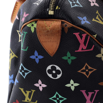 Louis Vuitton Speedy Handbag Monogram Multicolor 30