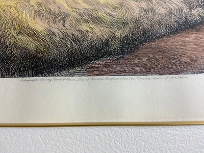 Herbert Dicksee Comrades 1928 Original Etching Frost & Reed Dogs Terrier Hound