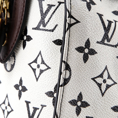 Louis Vuitton Speedy Amazon Bag Monogram Canvas Pm