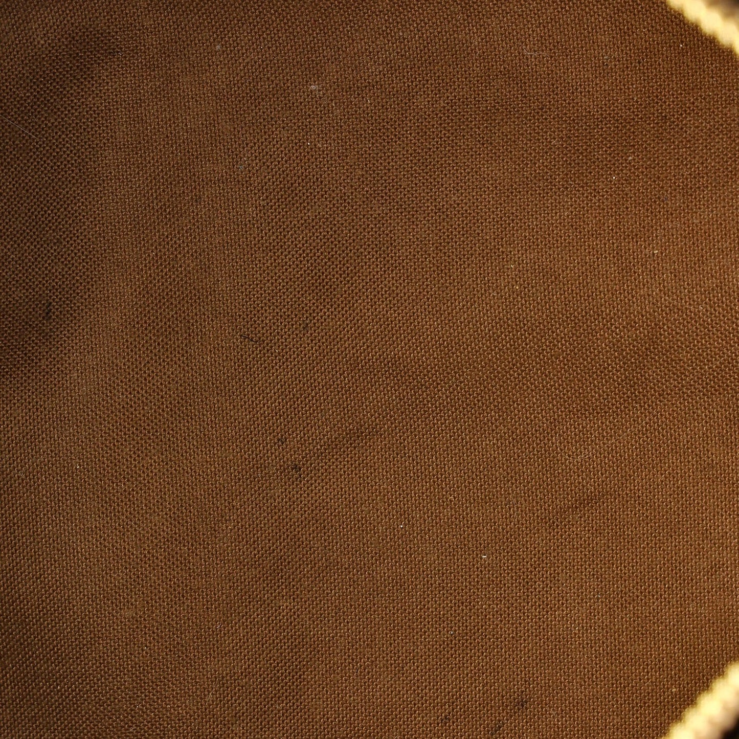 Louis Vuitton Speedy Handbag Monogram Canvas 30